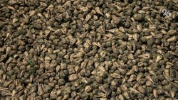 На Ставрополье собрали большой урожай сахарной свёклы