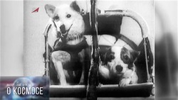 Первые земляне полетели в космос с астраханского космодрома