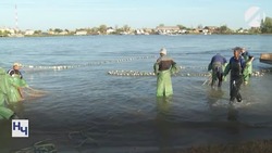 В Астраханской области стартовала осенняя путина