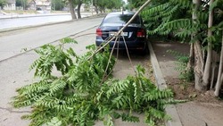 В Астрахани устраняют последствия урагана