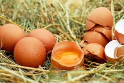 Турецкие яйца появятся на полках астраханских магазинов