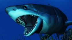 Учёные назвали причину вымирания самой большой акулы планеты