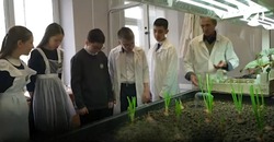 Педагоги астраханских агроклассов получат стимулирующие выплаты