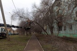 На улице Безжонова в Астрахани началась опиловка деревьев