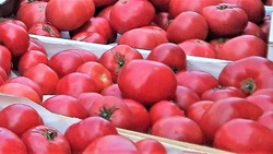 Из Астрахани в Казахстан вернули несертифицированные овощи