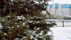 Снег, гололёд и мороз: какая погода ждёт астраханцев 17 января