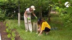 Астраханские школьники активно работают во время каникул