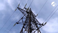 Астраханские птицы получили защиту от ударов током