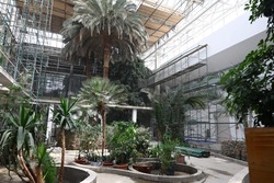 Игорь Бабушкин проинспектировал ход реконструкции КРК «Октябрь»