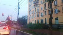 Астраханцев предупреждают о возвращении дождя и сильного ветра