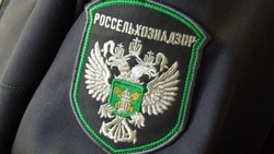 В Астраханской области выявлены махинации со сроком годности 14 тонн щуки