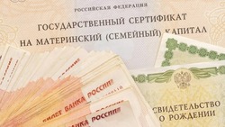 Десять астраханок обманули государство на 4,5 миллиона рублей