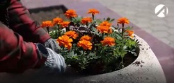 Астраханские коммунальщики готовят город к майским праздникам