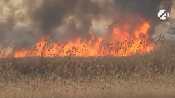 В Приволжском районе потушили крупный пожар