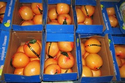 Астраханские таможенники вернули в Казахстан 17 тонн экзотических фруктов