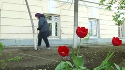 В старейшем лечебном учреждении Астраханской области провели субботник