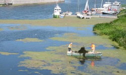 Астраханские коммунальщики очищают городские каналы