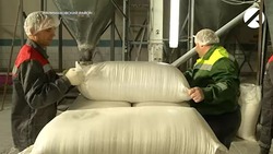 Единственный комбинат по переработке зерна в Астрахани наращивает производство