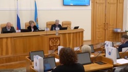 Депутаты Думы Астраханской области подключились к решению проблемы бездомных собак