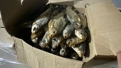 Астраханец незаконно хранил больше 3 тысяч кг рыбной продукции