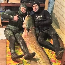 В Астраханской области поймали гигантского сома