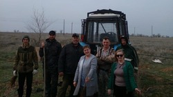 В Астраханской области высадили более 186 тысяч деревьев