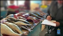 В Астрахани полицейские проверили условия продажи рыбы на рынках