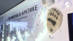 В Астрахани работает передвижная экспозиция «Каникулы в Арктике»