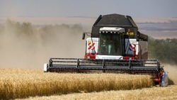 Российские аграрии собрали 130 миллионов тонн зерна