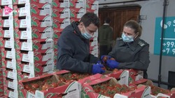 В Астраханской области выявили заражённые томаты
