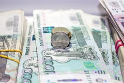 Россияне могут получать 270 тысяч рублей за работу «собачьим сомелье»