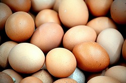 Владимир Путин объяснил рост цен на яйца