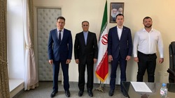 В регионе обсудили сотрудничество Астрахани и Ирана в IT-сфере