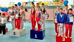 Астраханские гимнасты завоевали медали на всероссийских соревнованиях