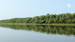 В Астраханской области утонул житель Орла