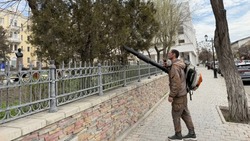 Сквер Пушкина в Астрахани готовят к весне