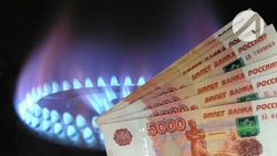 20 европейских компаний перешли на оплату газа в рублях