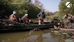 Волонтёры помогают Астраханскому биосферному заповеднику