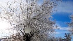 29 января астраханцев ждёт резкое потепление