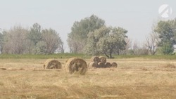 В Астраханской области мужчину насмерть придавило тюком с сеном