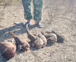 В Харабалинском районе задержали браконьеров