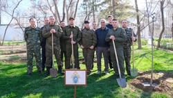 Сотрудники астраханского Следкома высадили деревья в Морском садике