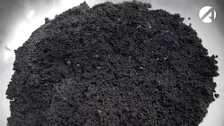 В Астраханской области можно самостоятельно изготовить чёрную икру