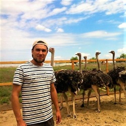 В астраханском селе Фунтово разводят страусов