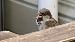 12 августа в Астраханской области будет жарко и сухо