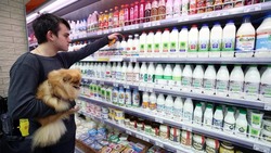 В России снизились цены на ряд молочных продуктов
