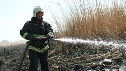 Пожар в Астраханском заповеднике локализован