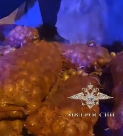 В Астрахани осетров на 249 млн рублей спрятали под мешками с луком