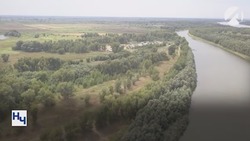 В лесах Астраханской области завершился пожароопасный сезон