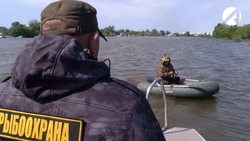 В Астраханской области за первое полугодие инспекторы изъяли 161,7 кг воблы